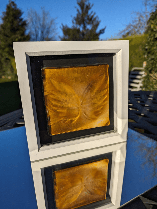 Amber wings in white frame