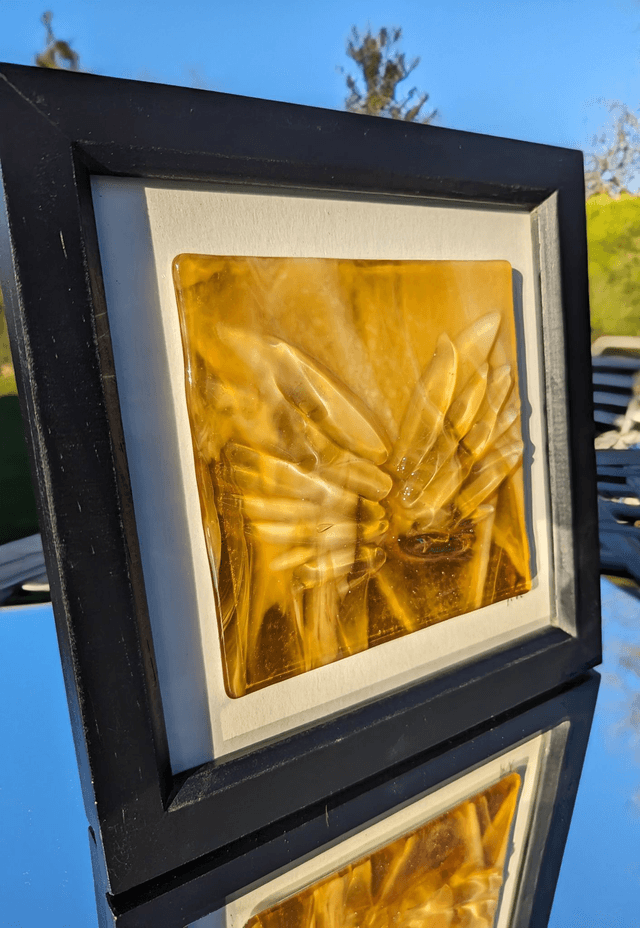 Amber wings in Black frame