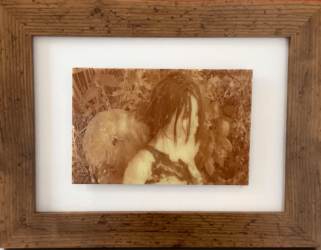 Angel in the garden3